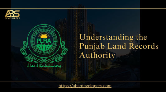 Understanding the Punjab Land Records Authority: Services, Online System & Property Verification